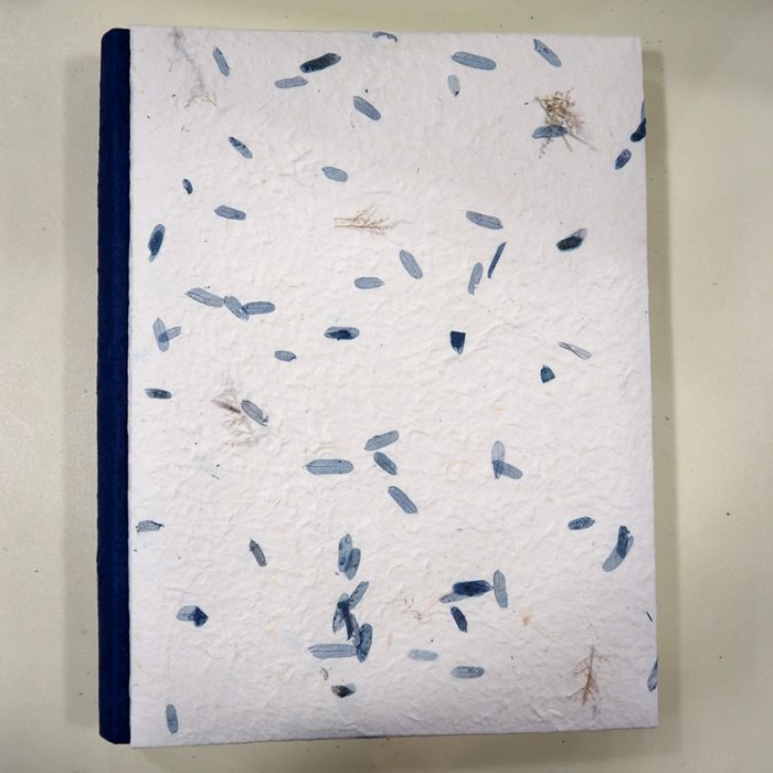 Album carta gelso 24×30 made in Italy - immagine 3